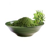 Capillaire verte (100g)